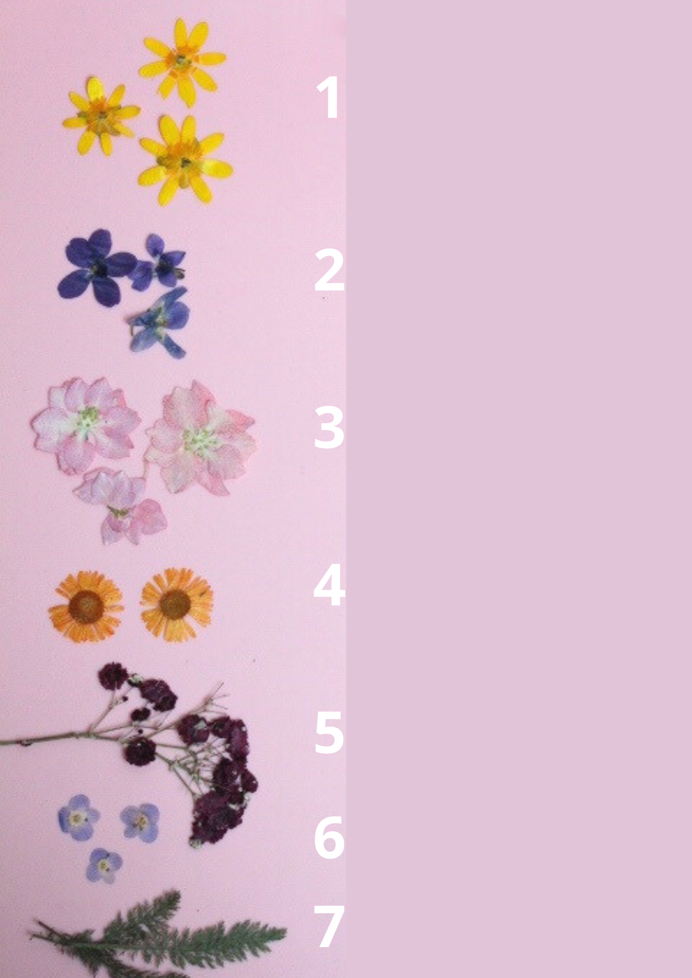 Boucles d’oreilles personnalisables